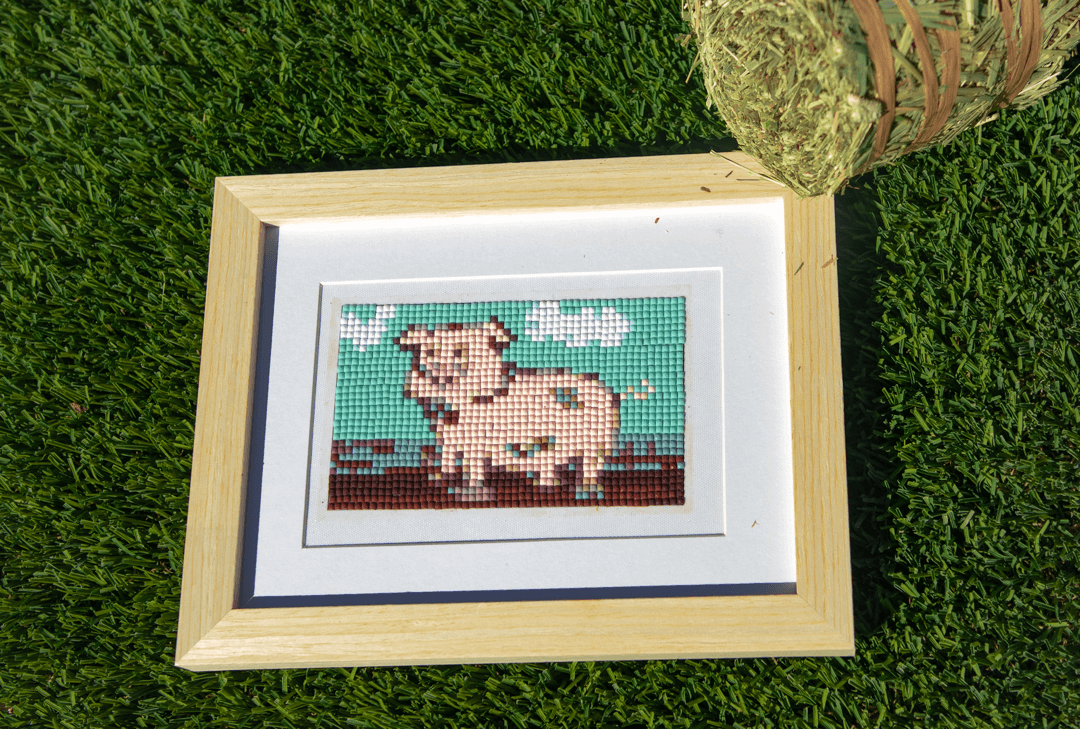 Barnyard Gems Diamond Kit - Pig